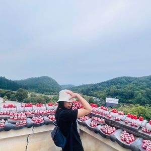 Meet your Posher, Alice